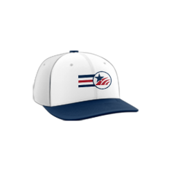 2173 Team Cap PTS30 HOMELAND