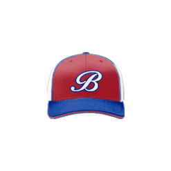 464 Team Cap R172 BRITE-SPOT