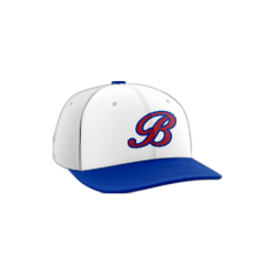 464 Team Cap PTS30 BRITE-SPOT