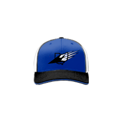 1686 Team Cap R172 OHIO-STEALTH-ROYAL