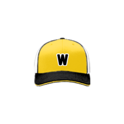 2275 Team Cap R172 _WATKINS-MEMORIAL