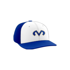 2607 Team Cap PTS30 DETAIL-WIZARD-MOJO-COLUMBIA