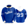 2349 FD Hoody SOUTHEASTERN-FASTPITCH