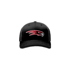 2540 Team Cap R172 RED-HAWKS-WELLING
