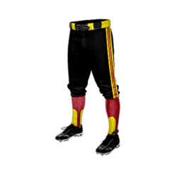 2049 CL KNICKERS CUSTOM BRAIDED BALL PANT TEAM-BIDNESS-FLO INK + $5
