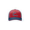 2470 Team Cap R172 CARDINALS