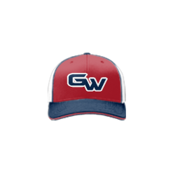 2640 Team Cap R172 GUESS-WHO-RED