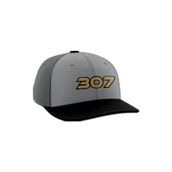 1727 Team Cap PTS30 307-TWISTED