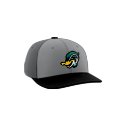 708 Team Cap PTS30 MIGHTY-DUCKS-PURPLE