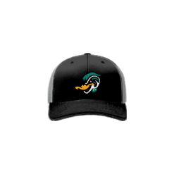 708 Team Cap R172 MIGHTY-DUCKS-WHITE