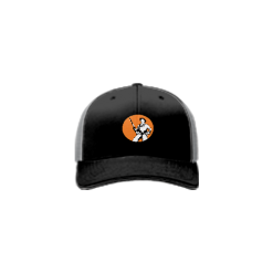 1625 Team Cap R172 HENRY-REPEATING-ARMS