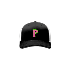 2730 Team Cap R172 PINK-ELEPHANTS