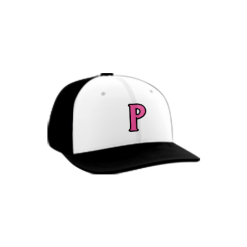 2730 Team Cap PTS30 PINK-ELEPHANTS