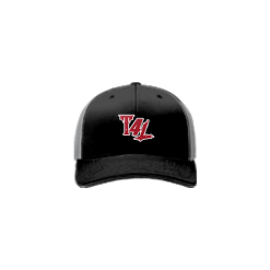 2737 Team Cap R172 TOBACCO-4-LESS