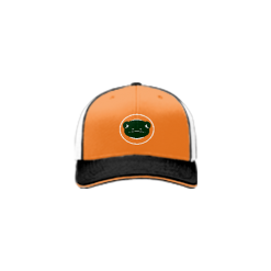 2735 Team Cap R172 NEWTS