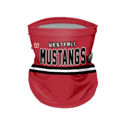 2743 FACE GAITER 19in SCHOOLMASKS2
