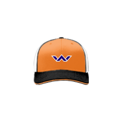 2703 Team Cap R172 WORSHIP-PURPLE