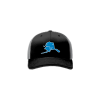 2769 Team Cap R172 NORTHERN-DRIP