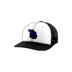 2486 Team Cap Trucker 112 TAR-BABIES-PURPLE