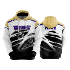 2799 FD Hoody BRUINS