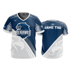 2798 FD Sport V-Neck MENS BROWARD-GAMING-ESPORTS