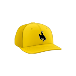 740 Team Cap PTS30 POKES-ADDONS