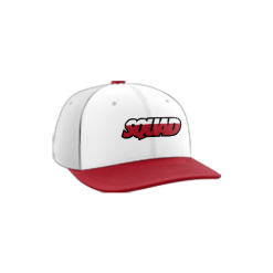 2807 Team Cap PTS30 SUICIDE-SQUAD