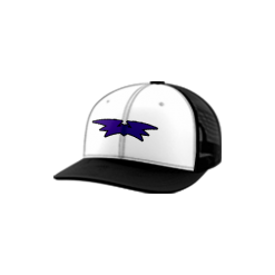 2810 Team Cap Trucker 112 BATS