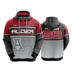 2824 FD Hoody ALDER-PLAIN-CITY-EBC