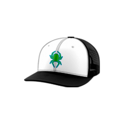 2816 Team Cap Trucker 112 BLACK-WIDOWS-10U