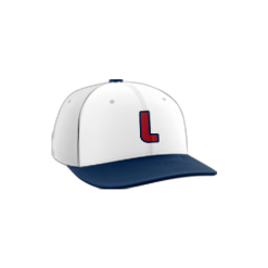 2826 Team Cap PTS30 WV-LIBERTY