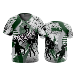 2043 FD Sport V-Neck MENS TRENDY-DNA