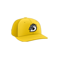 2124 Team Cap PTS30 DRAGONS-BASEBALL-BLACK