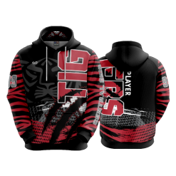 2573 FD Hoody CENTRAL-OHIO-TIGERS