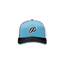 2508 Team Cap R172 PANTHERS-BLUE
