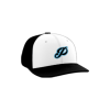 2508 Team Cap PTS30 PANTHERS-BLUE