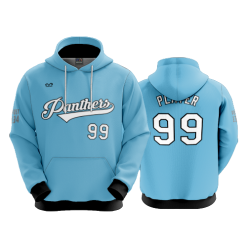 2508 FD Hoody PANTHERS-BLUE