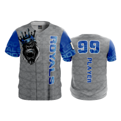 2664 FD ProTek Mens Full Button Down ROYAL