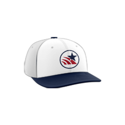 2173 Team Cap PTS30 HOMELAND