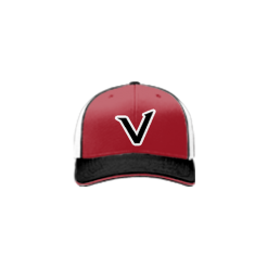 2587 Team Cap R172 VENOM
