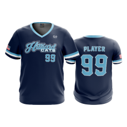 2903 FD Sport V-Neck MENS HILLIARD-CATS
