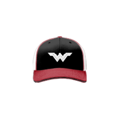 2925 Team Cap R172 WICKED