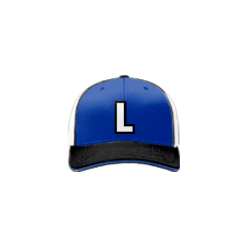 2940 Team Cap R172 LIDGERWOOD-ICE-ROYAL