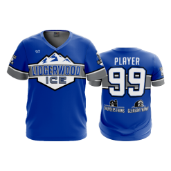 2940 FD Sport V-Neck MENS LIDGERWOOD-ICE-ROYAL