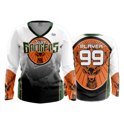 2696 FD Womens V-Neck Longsleeve JAGER-BOMBERS