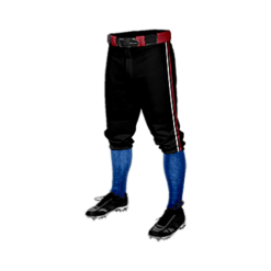 2950 CL KNICKERS CUSTOM BRAIDED BALL PANT DUST-DEVILS