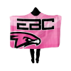 2886 FD FAN WRAP EBC-PINK