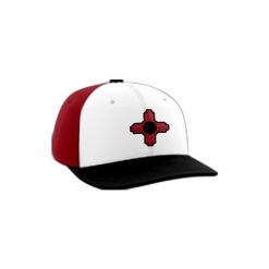 267 Team Cap PTS30 SHOWTIME-BLACK
