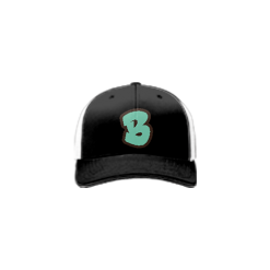 2979 Team Cap R172 BABS-MINT