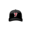 2993 Team Cap R172 THUNDER-STICKS-WHITE